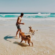 A happy man plays on the beach with his dogs