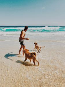 A happy man plays on the beach with his dogs